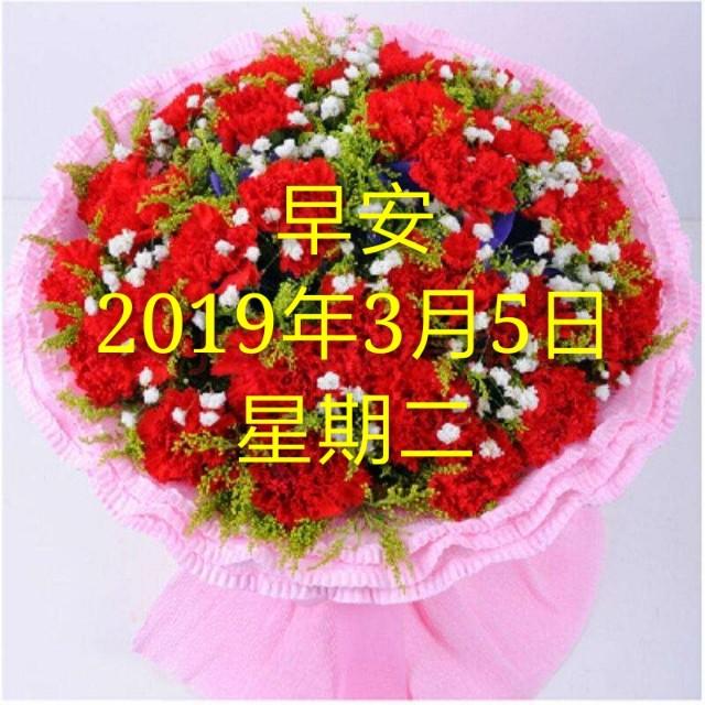 早安，2019年3月5日！预祝女神们节日快乐！