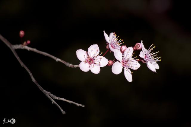 句子很短，句句经典，人生很难，写的真好，一起共勉