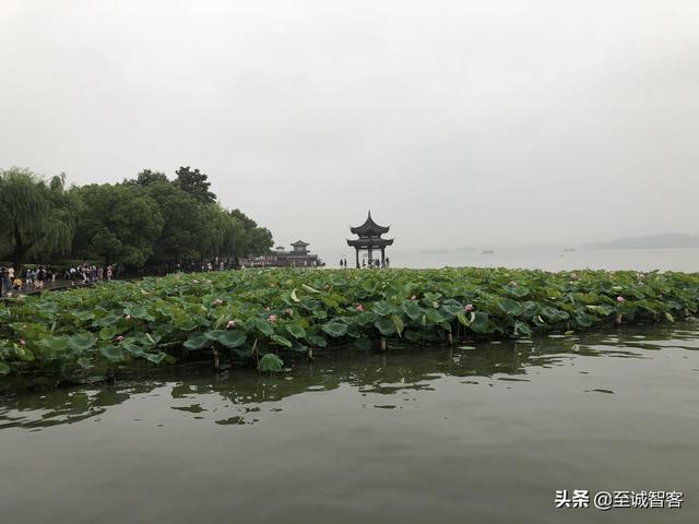 烟雨蒙蒙游西湖，时有落花至，追随流水香。西湖的美，真名不虚传