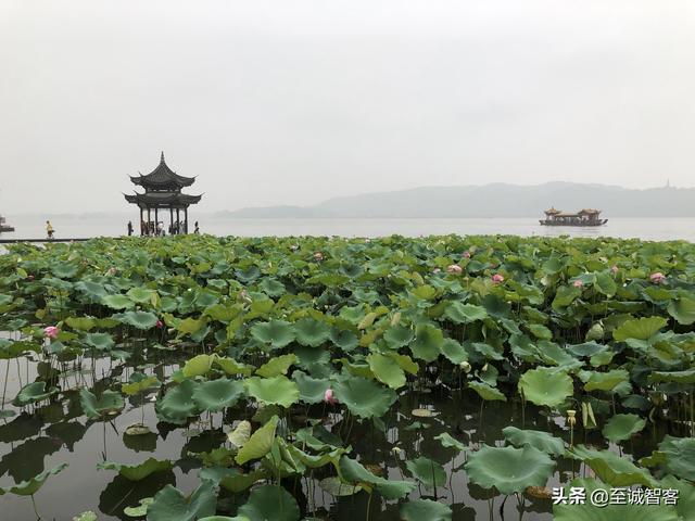 烟雨蒙蒙游西湖，时有落花至，追随流水香。西湖的美，真名不虚传