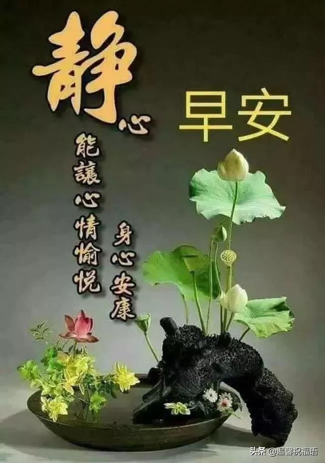 漫漫友情路，长长短信情，若要论知己，你早在我心中。友友早安