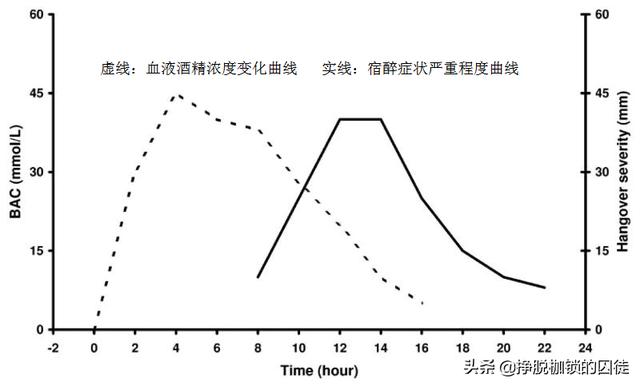 酒喝多了第二天很难受，有什么好办法帮助快速恢复吗？