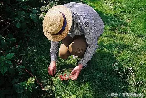 心被伤透了的说说心情短语，句句扎心！