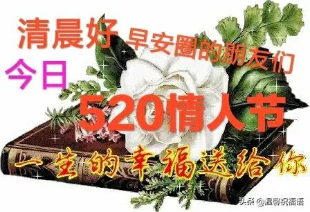 缘分来去难以强求，唯有真挚友谊永远不变，望我们友谊之树长青