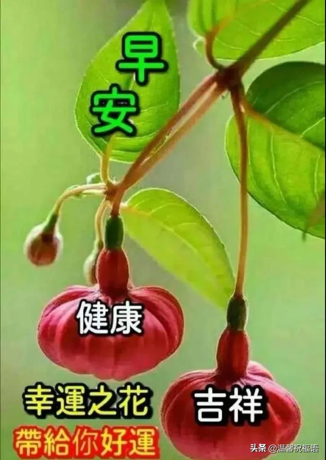 缘分来去难以强求，唯有真挚友谊永远不变，望我们友谊之树长青