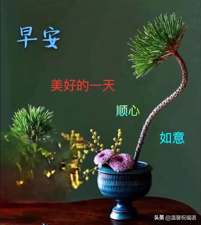 缘分来去难以强求，唯有真挚友谊永远不变，望我们友谊之树长青