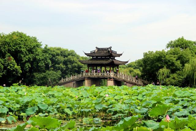 诗词｜雨天发朋友圈，文案这样写