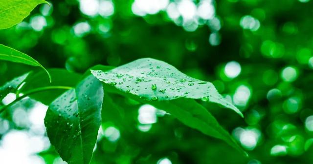 诗词｜雨天发朋友圈，文案这样写