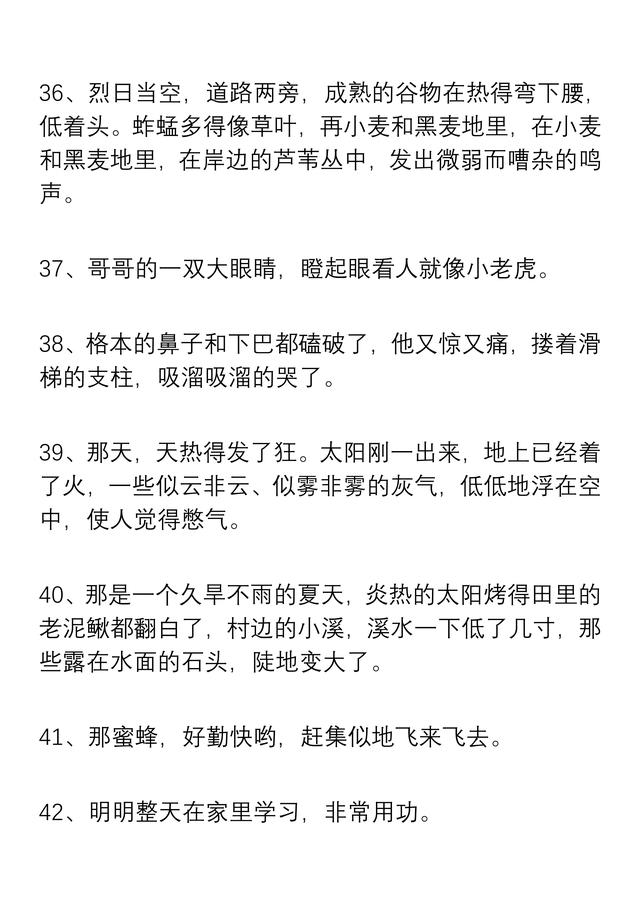 小学一年级：语文好词好句积累，精心整理，看图写话满分不再难