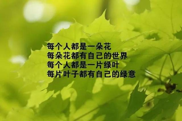 致自己很霸气的励志短句子