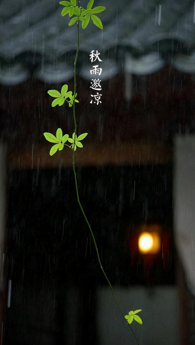 偏爱清秋夜雨时，十首秋雨的诗词，品味古诗词里的浪漫秋雨