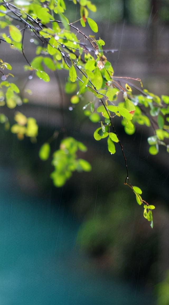 偏爱清秋夜雨时，十首秋雨的诗词，品味古诗词里的浪漫秋雨