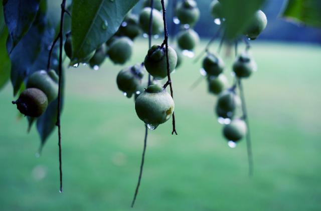 偏爱清秋夜雨时，十首秋雨的诗词，品味古诗词里的浪漫秋雨