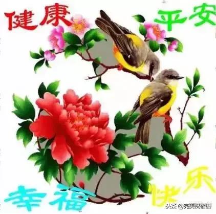 今天是家庭幸福长久日，祝愿每一个家庭都幸福美满！