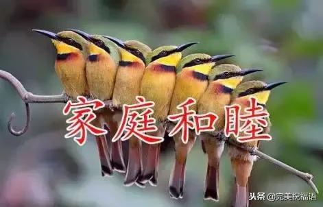 今天是家庭幸福长久日，祝愿每一个家庭都幸福美满！