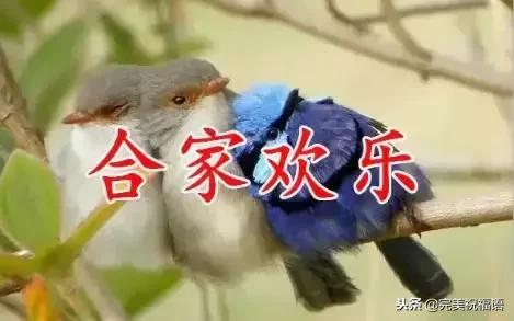 今天是家庭幸福长久日，祝愿每一个家庭都幸福美满！