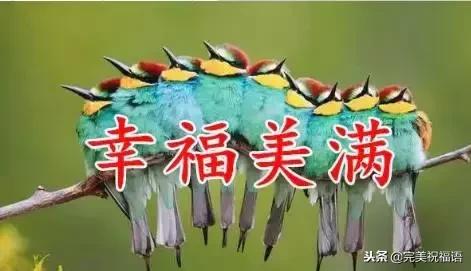 今天是家庭幸福长久日，祝愿每一个家庭都幸福美满！