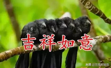 今天是家庭幸福长久日，祝愿每一个家庭都幸福美满！