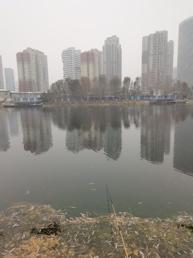 周末哥俩在河边聚一聚，雪中钓板鲫完美收杆