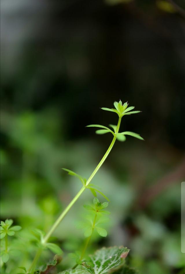 自强不息是一个人最有魅力的底色，30首励志诗词点燃人生的斗志