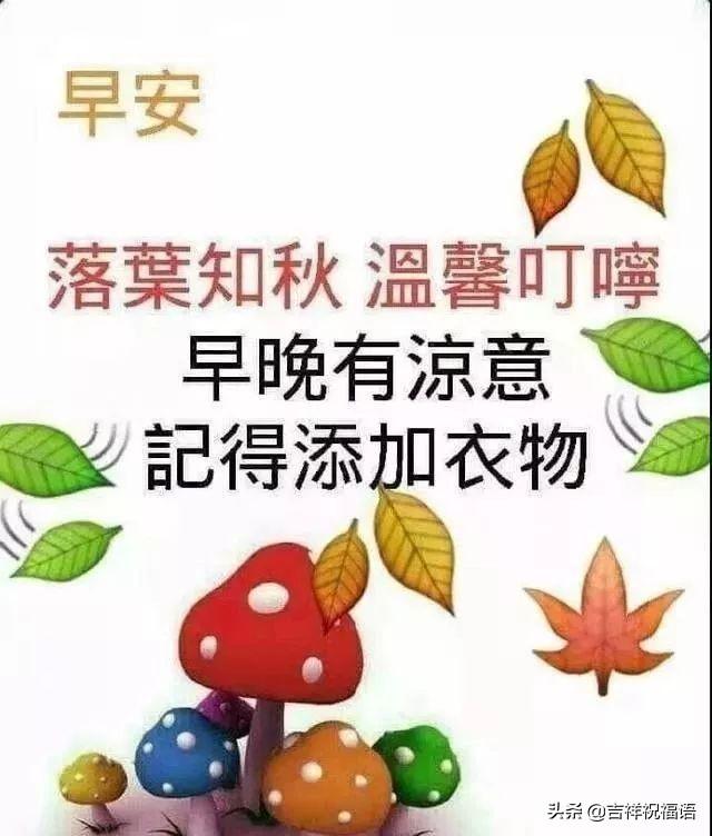 微信早晨暖心的祝福语句，句句温暖人心的早安问候语