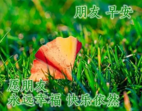 清晨美好正能量励志语录，清新带字图片安康问候祝福图片大全