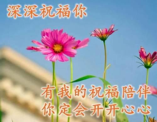 清晨美好正能量励志语录，清新带字图片安康问候祝福图片大全