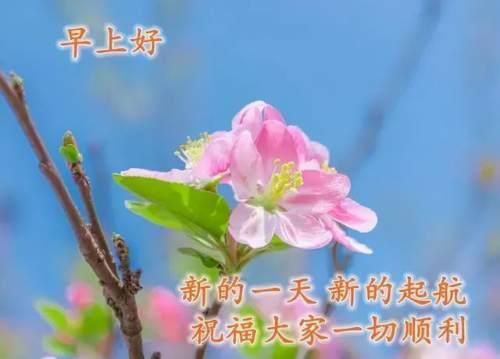 清晨美好正能量励志语录，清新带字图片安康问候祝福图片大全