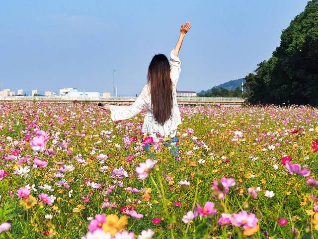 烟雨若江南，山水若墨染，山水之胜当属无锡