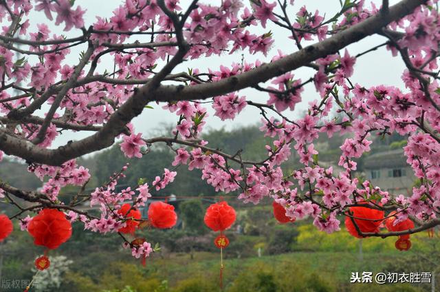 新年新春祝福诗词五首，人心新岁月，春意旧乾坤