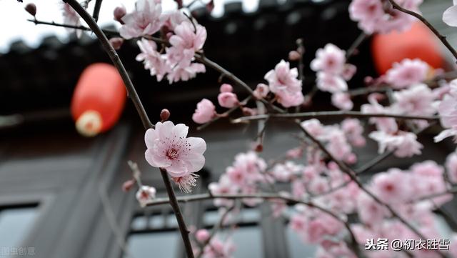 新年新春祝福诗词五首，人心新岁月，春意旧乾坤