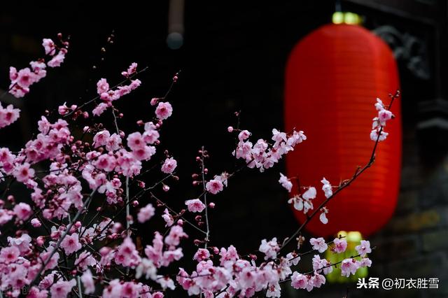 新年新春祝福诗词五首，人心新岁月，春意旧乾坤