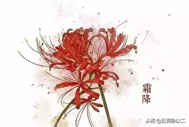 分享九首彼岸花的诗句，喜爱者可收藏