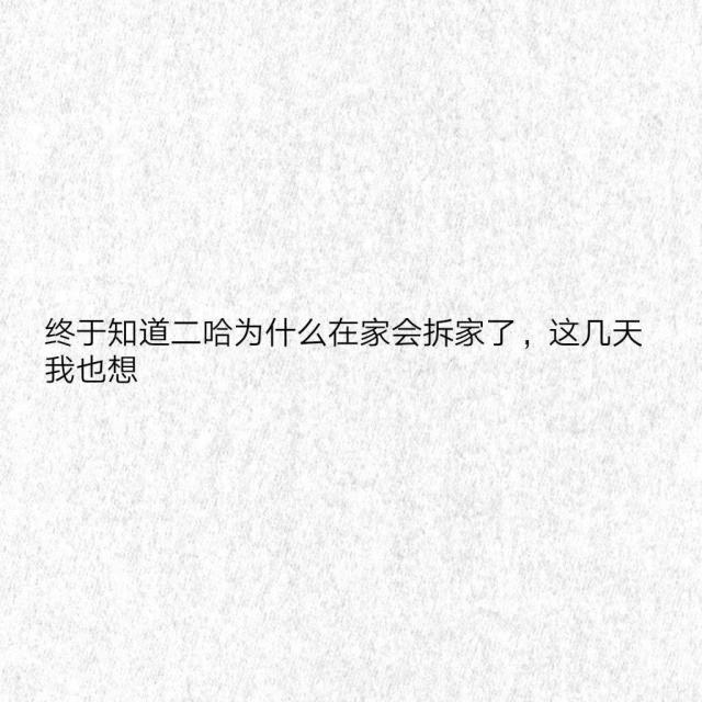 经典的自动回复语言（调戏好友）