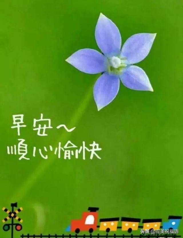 微信里很温馨的早晨好暖心祝福句子 早上好微信问候祝福语录