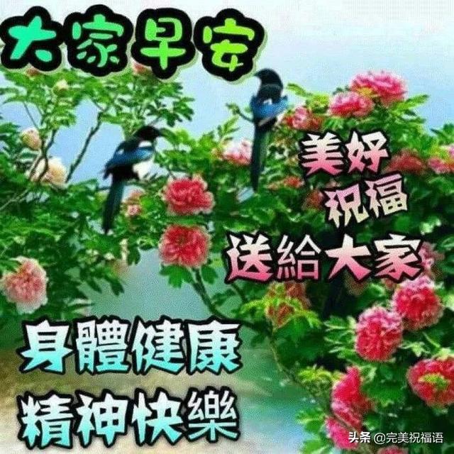 微信里很温馨的早晨好暖心祝福句子 早上好微信问候祝福语录