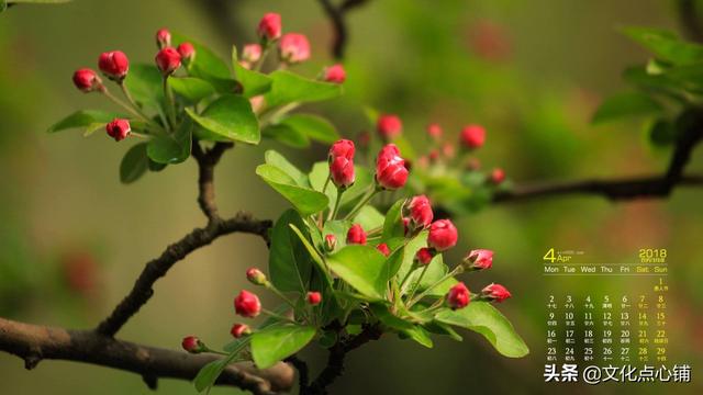 元好问晚年回到故乡，写给儿孙一首诗，指出了人世间最好的教养