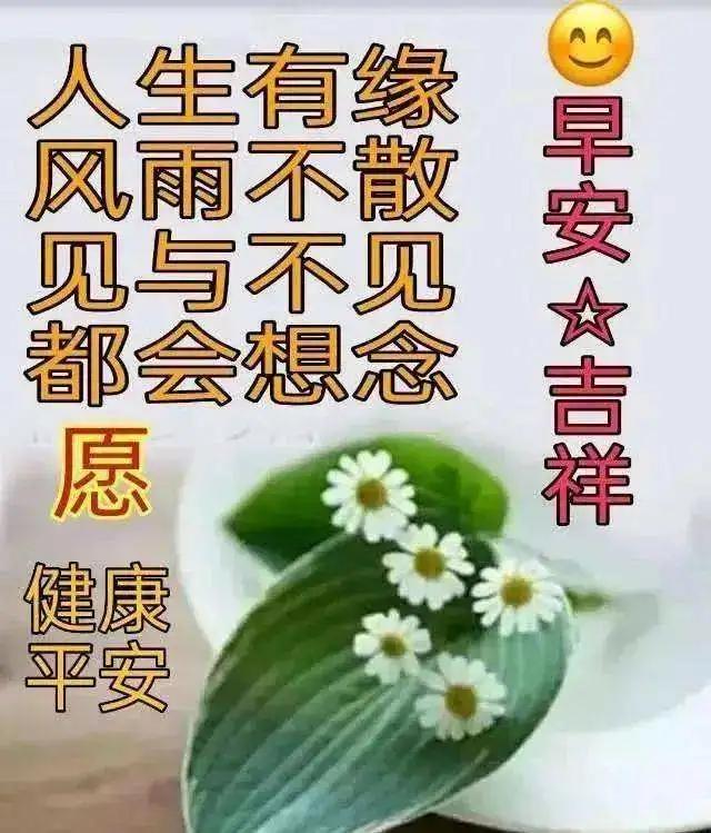 祝愿朋友心情好，快快乐乐度寒冬，早安