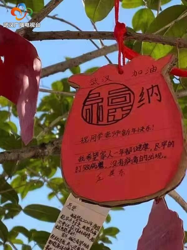 辞旧迎新祈愿祝福 小学生们的新年愿望