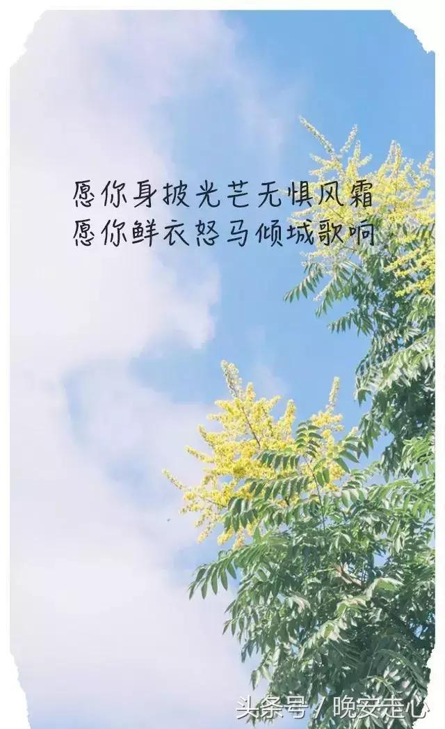 少喝深夜的酒，多喝清晨的粥