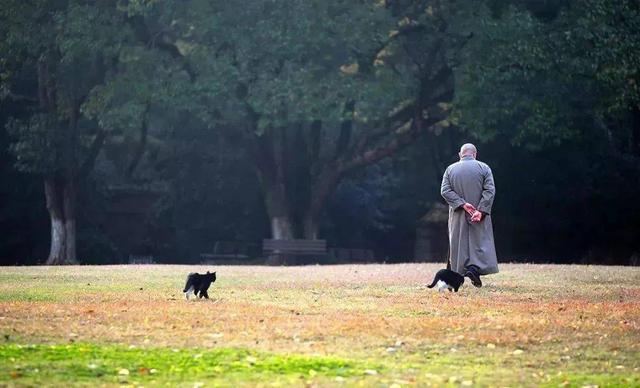 如何放下自己？佛说：所谓放下，就是去除你的4种心