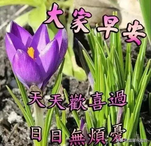 2020正月廿八早安祝福语大全简短 微信群发清晨祝福语吉祥图片