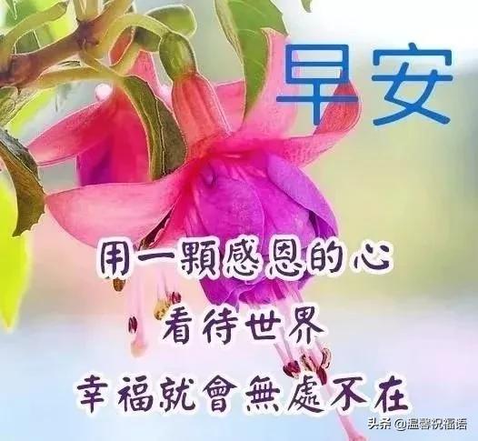 2020正月廿八早安祝福语大全简短 微信群发清晨祝福语吉祥图片