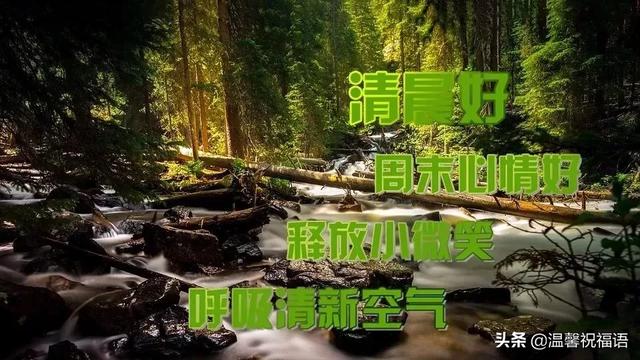 2020正月廿八早安祝福语大全简短 微信群发清晨祝福语吉祥图片