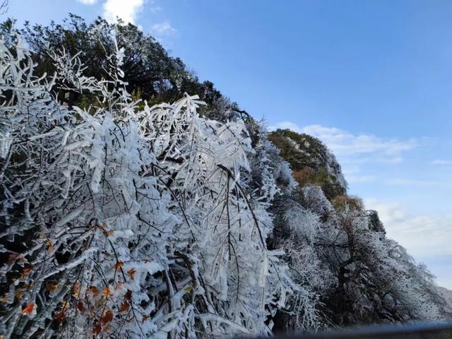 江山如画 | 一半金秋彩林，一半仙境雾凇——南川·金佛山