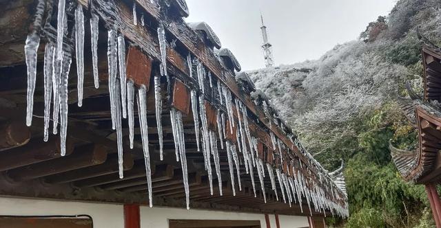 江山如画 | 一半金秋彩林，一半仙境雾凇——南川·金佛山