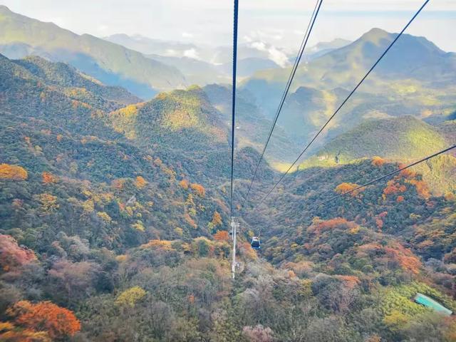 江山如画 | 一半金秋彩林，一半仙境雾凇——南川·金佛山