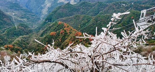 江山如画 | 一半金秋彩林，一半仙境雾凇——南川·金佛山