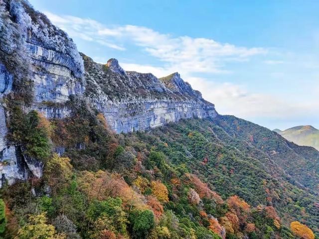 江山如画 | 一半金秋彩林，一半仙境雾凇——南川·金佛山