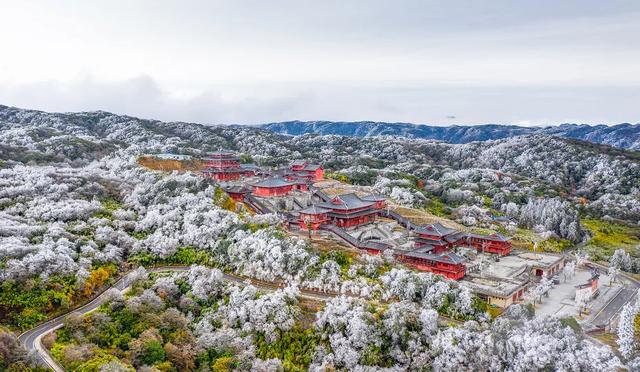 江山如画 | 一半金秋彩林，一半仙境雾凇——南川·金佛山